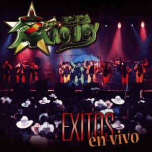 Discografias Banda Maguey yupis